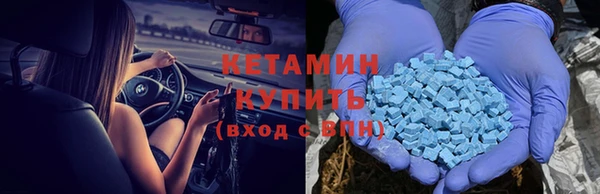 тгк Инсар