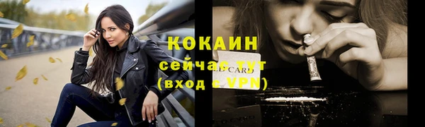 прущая мука Инта