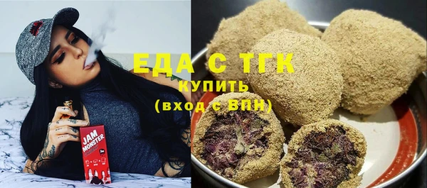 тгк Инсар