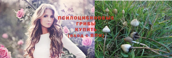 кокс Иннополис