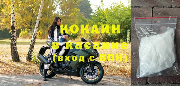 тгк Инсар