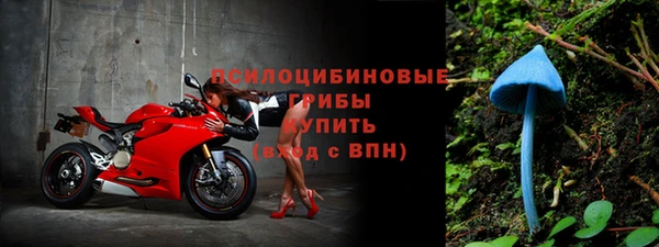 тгк Инсар