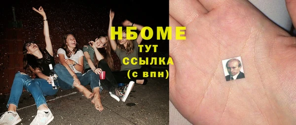 тгк Инсар