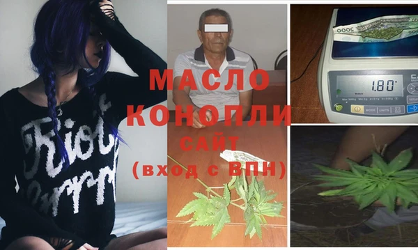 тгк Инсар